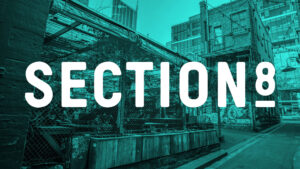 Section 8